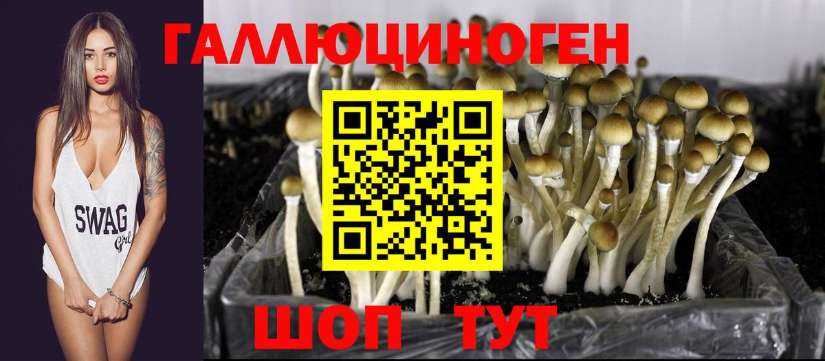 Галлюциногенные грибы MAGIC MUSHROOMS Карталы